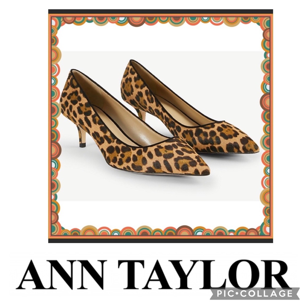 Ann Taylor 2 1/2” heel pulps made from calf hair. Size 6. BNWOB.